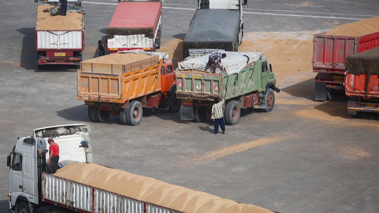 خرید و فروش نهاده در بازار آزاد ممنوع است خرید و فروش نهاده در بازار آزاد ممنوع است